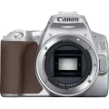 250D SILVER (10).JPG