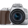 250D SILVER (2).JPG