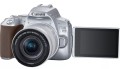 250D SILVER (5).JPG