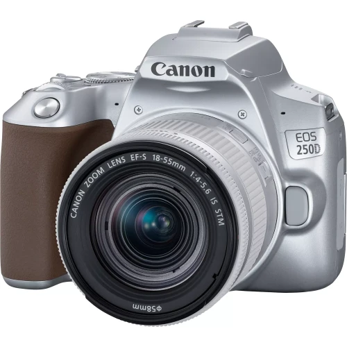 250D SILVER (3).JPG