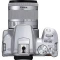 250D SILVER (8).JPG