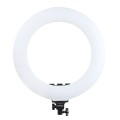 lampa-led-ring-mitoya-rl480l-3000-6000k (1).jpg