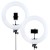 lampa-led-ring-mitoya-rl480l-3000-6000k (3).jpg