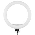 lampa-led-ring-mitoya-mty-21c-3000-6000k (1).jpg