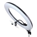 lampa-led-ring-mitoya-rl480l-3000-6000k (2).jpg