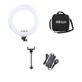 lampa-led-ring-mitoya-rl480l-3000-6000k (4).jpg