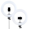 lampa-led-ring-mitoya-rl480l-3000-6000k (3).jpg