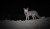 OUKITEL_WP_22_ZDJECIA_NOCNE.jpg