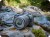 5666C028_EOS-R6-Mark-II_08_RI.jpg