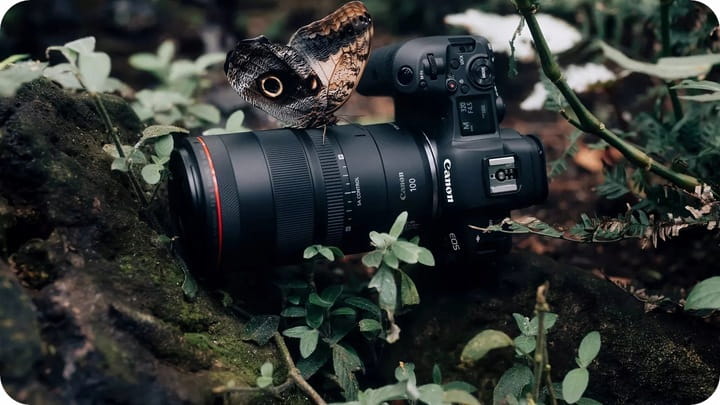 OBIEKTYW-CANON-EF-100MM-F2-8L-MACRO-IS-USM-HYBRYDOWY-STABILIZATOR-FILTR-Przyslona-f-2-8.jpg