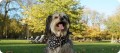 file_5a5d703620ff2.jpg