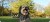 file_5a5d703620ff2.jpg