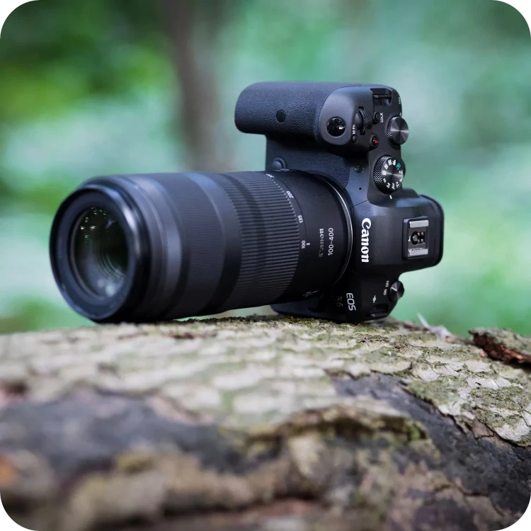 obiektyw-canon-rf-100-400mm-f5-6-8-is-usm-aparat-z-obiektywem-na-pniu-drzewa.jpg