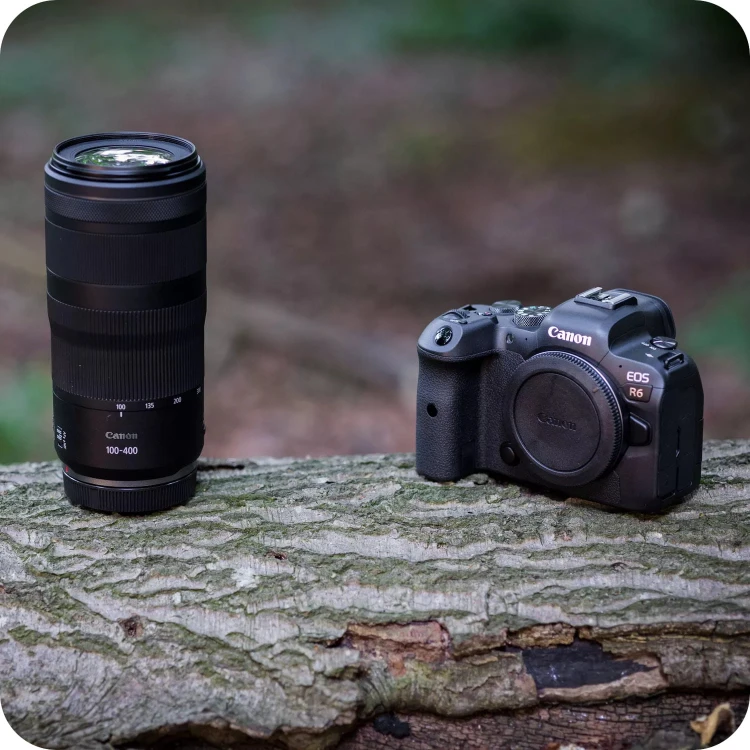 obiektyw-canon-rf-100-400mm-f5-6-8-is-usm-obiektyw-i-aparat-na-pniu-drzewa.jpg