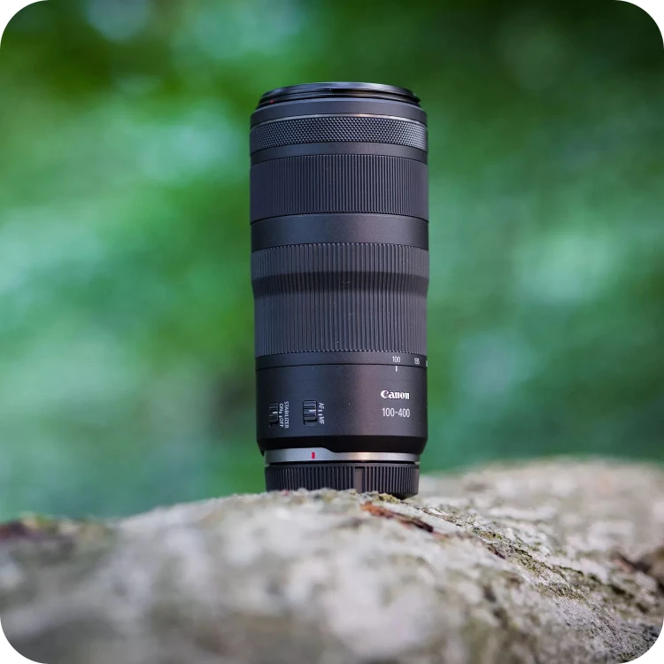 obiektyw-canon-rf-100-400mm-f5-6-8-is-usm-obiektyw-na-pniu-drzewa.jpg