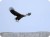 rich-5050c005_rf-100-400mm-f5-6-8-is-usm_05.jpg