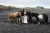 eos-r-katya-mukhina-sample-iceland-0014_3017abd7d9534a97b5b1811e26d0a248.jpg