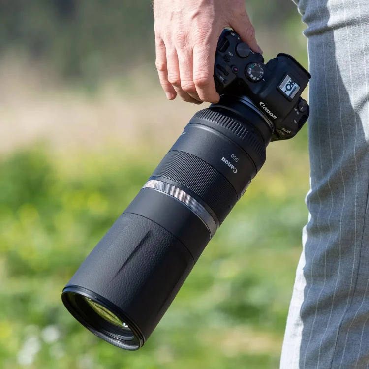 3987C005_EOS-R6-RF-800mm-F11-I-ST-06.jpg