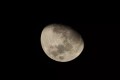 rf800mm-f11-is-stm_canon_inc_sample_0018_05aaac0699f74cbca64f1e1ee4d4f651.jpg