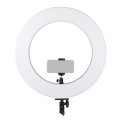 lampa-pierscieniowa-mitoya-rl480-3000k-6000k-warszawa.jpg
