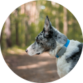 eb5767d7-136a-4180-9a00-e051c9f3aa24.png