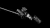 elite-imaging-mastery.webp