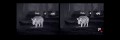 Reality-Image-Improvement-Algorithms.jpg