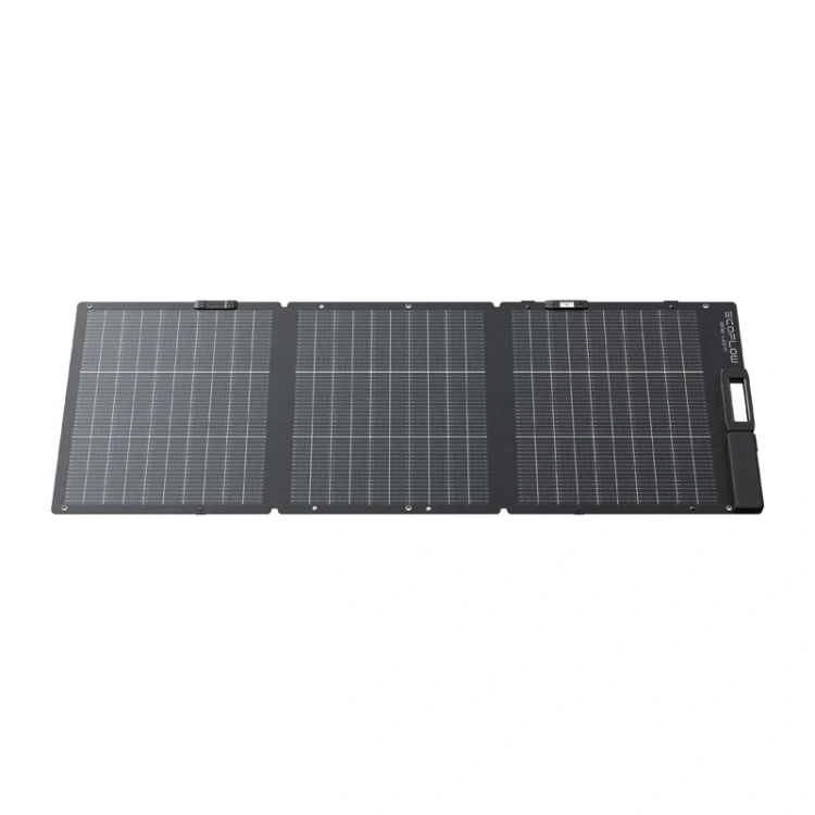 pol_pl_Skladany-panel-fotowoltaiczny-EcoFlow-160W-59679_2.jpg