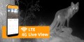 Grafika - Kamera obserwacyjna Redleaf RD7200 LTE_04.jpg