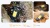 product-rugking-5-pro-6.webp