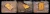 rugking-pad-2-pro-pc-3.webp
