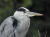 P1100_01_0674_A5.webp